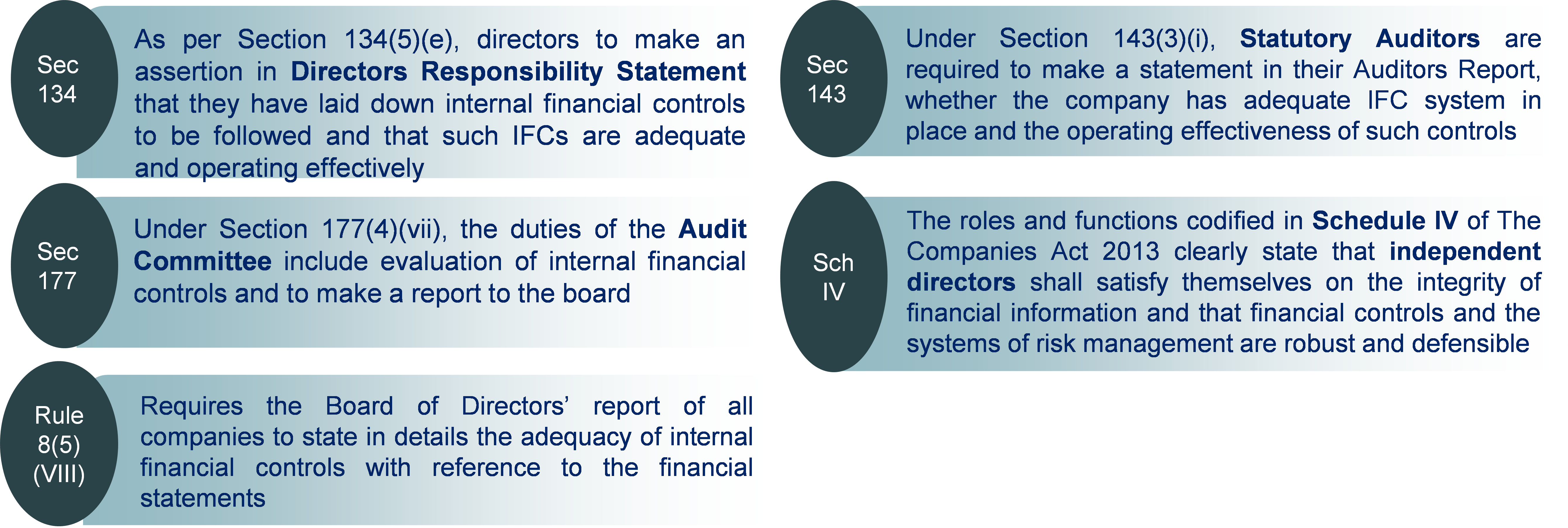Requirements on Internal Finance Control (IFC)